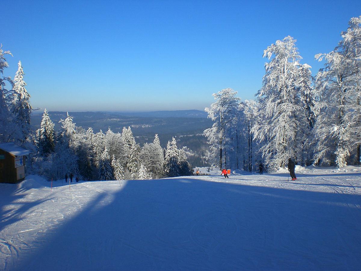 Pension Philippsreut "Zum Pfenniggeiger" Am Goldsteigwanderweg Kültér fotó
