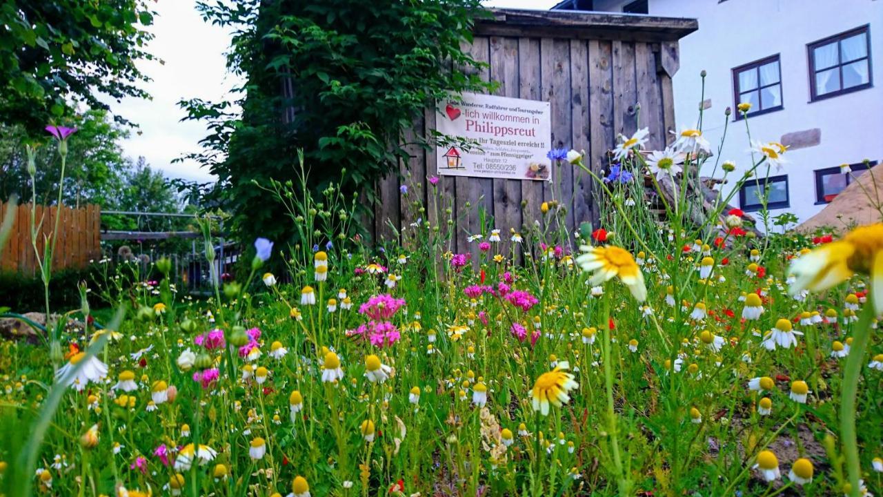 Pension Philippsreut "Zum Pfenniggeiger" Am Goldsteigwanderweg Kültér fotó